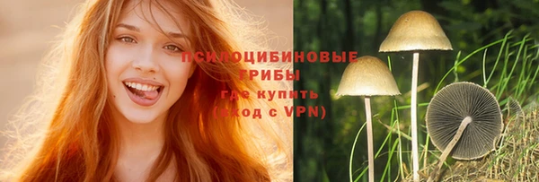 стаф Аркадак