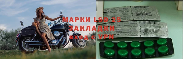 стаф Аркадак