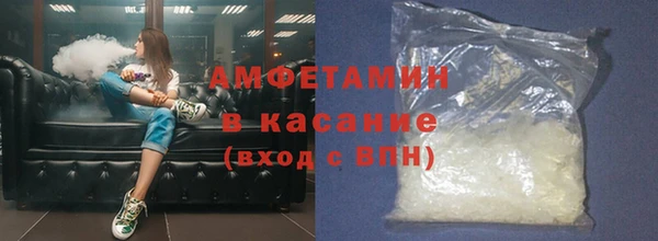 стаф Аркадак