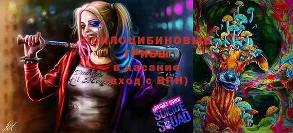 Альфа ПВП Армянск