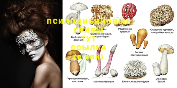 Альфа ПВП Армянск