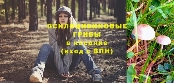 Альфа ПВП Армянск