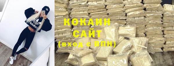 стаф Аркадак