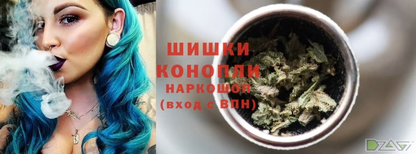 стаф Аркадак